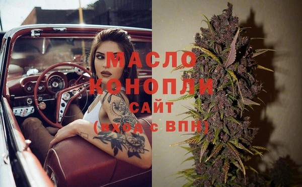 гидра Верхний Тагил