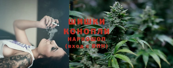 гидра Верхний Тагил