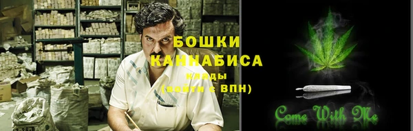 гидра Верхний Тагил