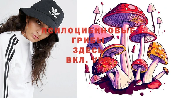 каннабис Верея