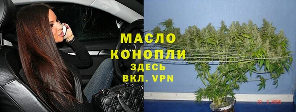 гидра Верхний Тагил