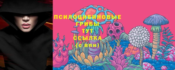 гидра Верхний Тагил