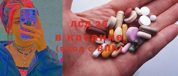 гидра Верхний Тагил
