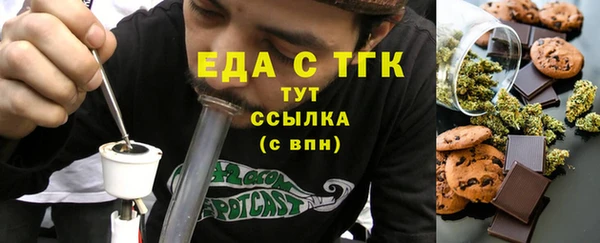 гидра Верхний Тагил